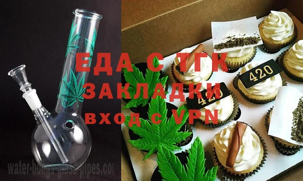 шишки Абаза
