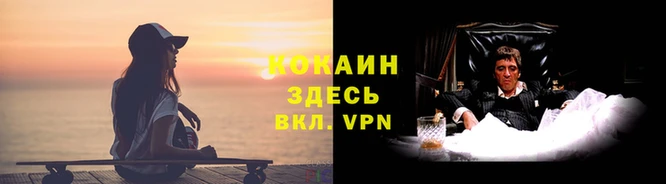 шишки Абаза