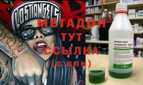 шишки Абаза