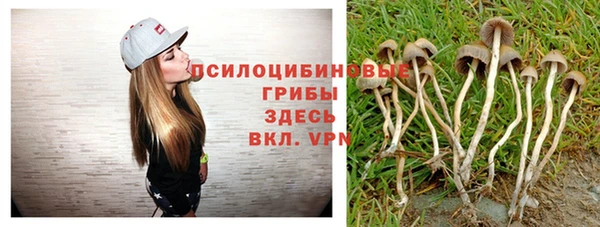 кокаин Алексин